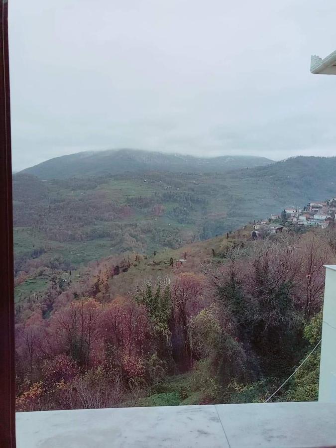 Hotel Evridiki Zagora Exterior foto