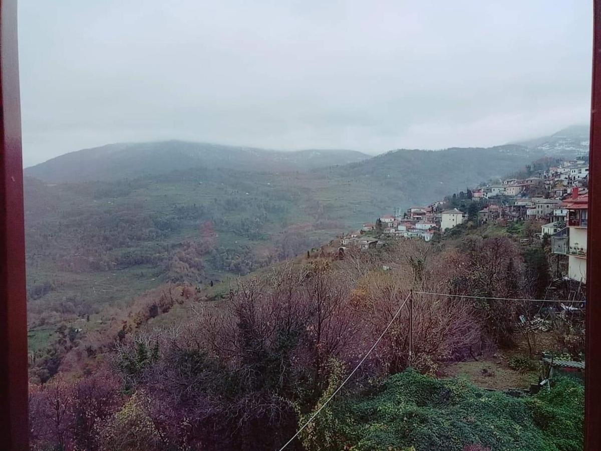 Hotel Evridiki Zagora Exterior foto